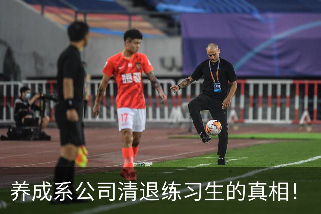 养成系公司清退练习生的真相！