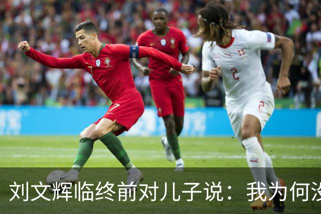 刘文辉临终前对儿子说：我为何没炸泸定桥？看13根铁索底下是什么