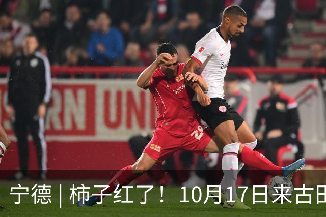 宁德 | 柿子红了！10月17日来古田利洋！拍照、逛吃、宋韵游园一站式拉满！