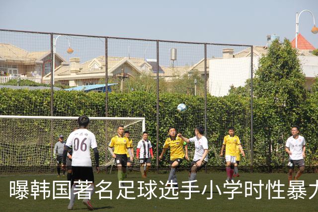曝韩国著名足球选手小学时性暴力后辈 寄诚庸热搜