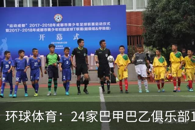 环球体育：24家巴甲巴乙俱乐部11月30日起或受罚