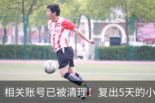 相关账号已被清理！复出5天的小杨哥，就撞上难堪一幕