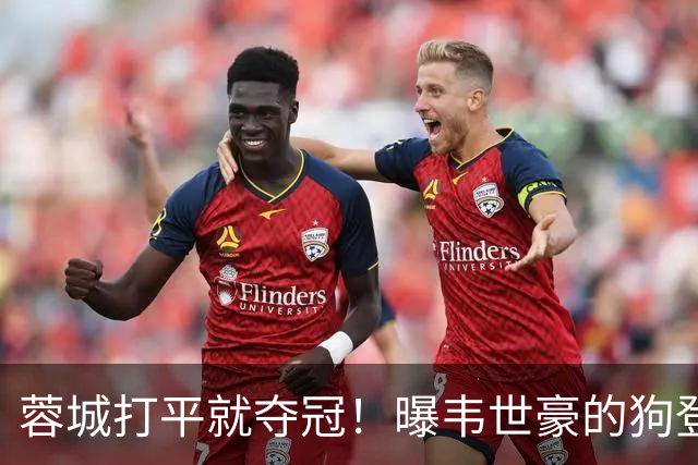 蓉城打平就夺冠！曝韦世豪的狗登上看台TIFO：见识见识你的本事