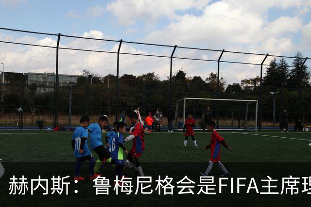 赫内斯：鲁梅尼格会是FIFA主席理想人选，他在国际上备受尊重