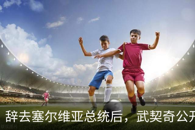 辞去塞尔维亚总统后，武契奇公开作出承诺：不会对俄罗斯实施制裁