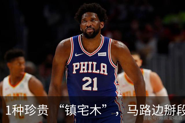 1种珍贵 “镇宅木”，马路边掰段枝 “扦插”，养上2～3年做个造型