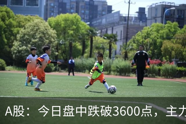 A股：今日盘中跌破3600点，主力已经摊牌了！接下来底部在哪里？